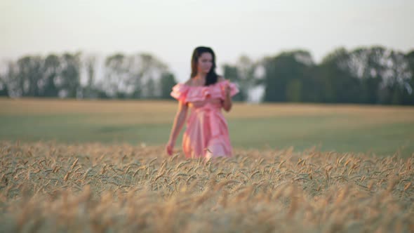 A Beautiful Woman in a Dress Walks Through a Wheat Field