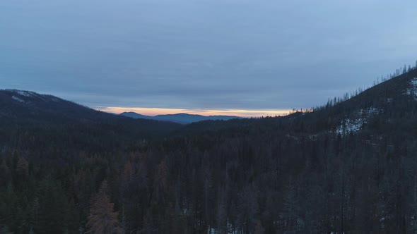 Coniferous Forest. Sierra National Forest, California, USA. Aerial View