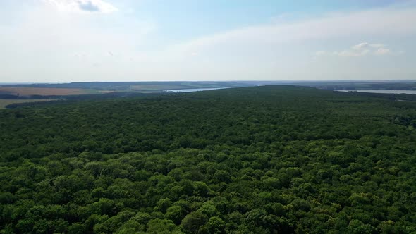 Aerial view of green forest. Flying over beautiful green forest in rural landscape
