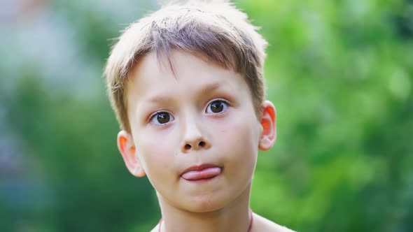 Portrait of a happy boy on the blurred background. Close-up face of a little boy