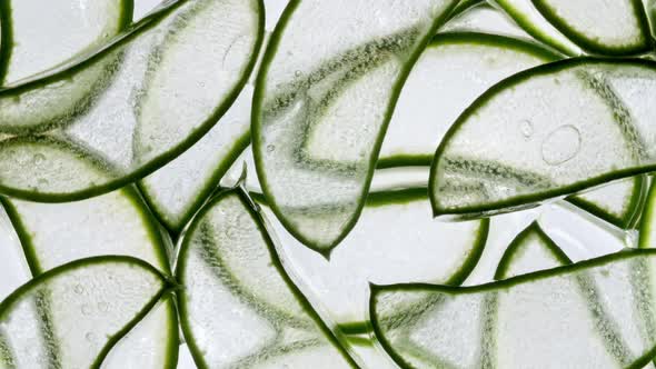Pieces of Aloe Vera of Rotation on White Background