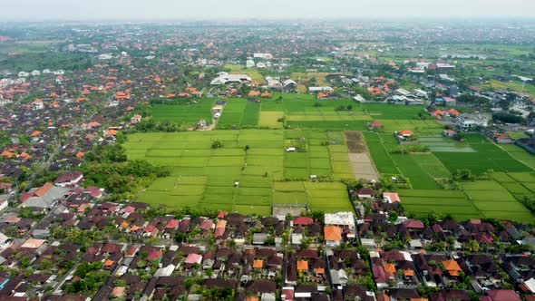 Flying around rice fields in the village