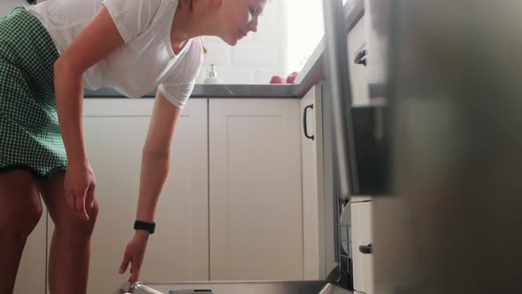 Woman Unloading Dishes From Dishwasher Machine Taking White Plates From Dishwasher in Kitchen
