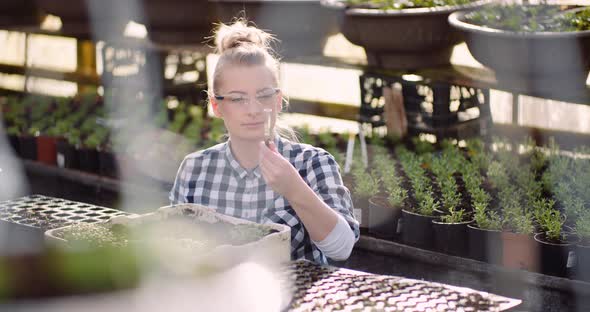 Botanist Examining Plants at Greenhouse