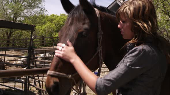Slow motion shot of a woman grooming a horse