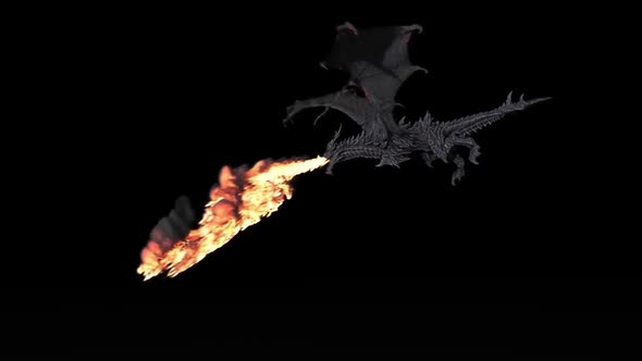 Flying Dragon Spewing Flame