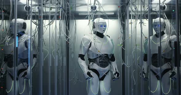 Humanoid Robot Checking Servers in a Data Center