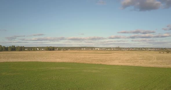 Panoramic View Large Gold and Green Fields Against Blue Sky