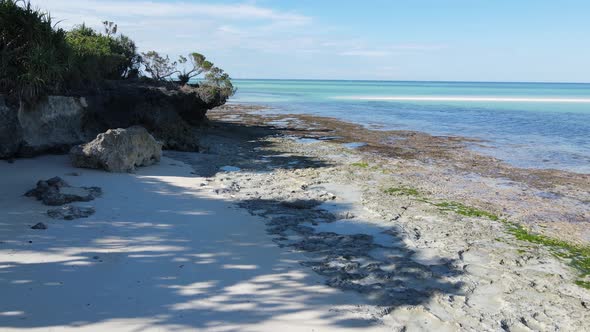 Beach on Zanzibar Island Tanzania Africa