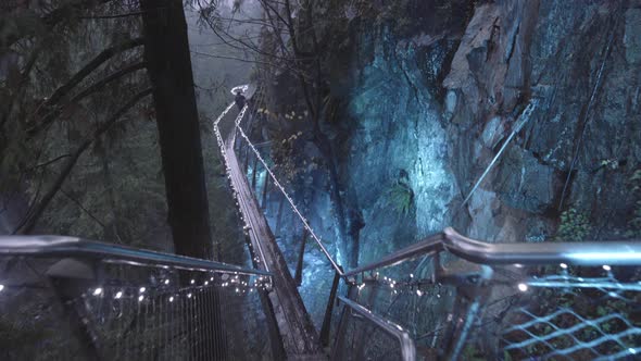 Pathway decorated with blue Christmas lights in park