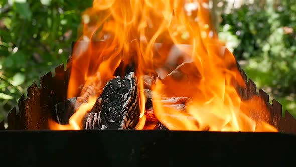 Closeup of Burning Firewood