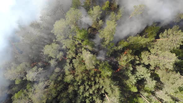 Aerial Footage Fire and Smoke Siberia Russia