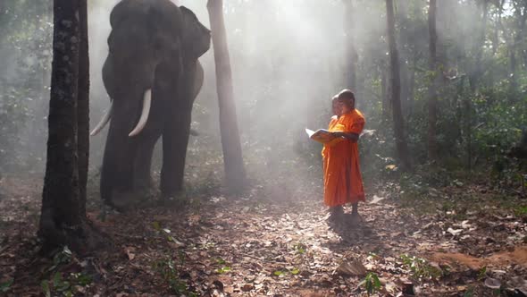 Farmers and monks village in Thailand