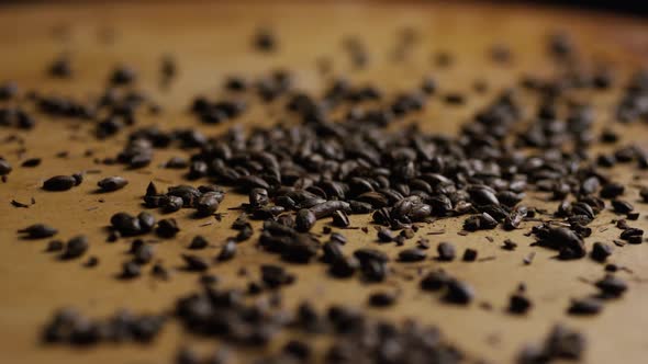 Rotating shot of barley and other beer brewing ingredients - BEER BREWING