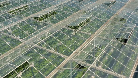 Greenhouses with Vegetables