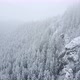 Aerial drone view of beautiful winter scenery in the mountains with pine trees covered with snow. - VideoHive Item for Sale