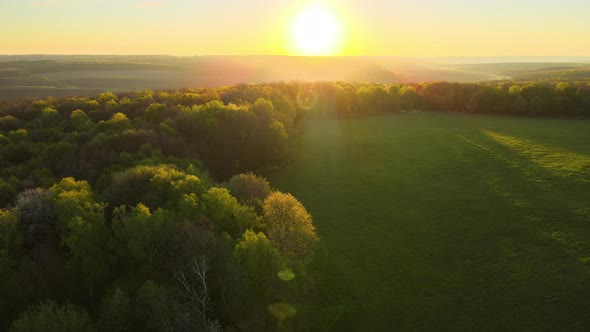 Aerial View of Woodland with Fresh Green Trees and Agricultural Arable Fields in Early Spring at