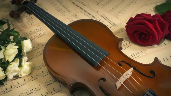 Violin And Flowers Display - Concert, Orchestra