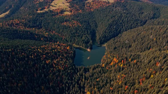 Aerial Drone Footage View Flight Over Autumn Mountains with Woods and Famous Lake Sinevir in Sunrise