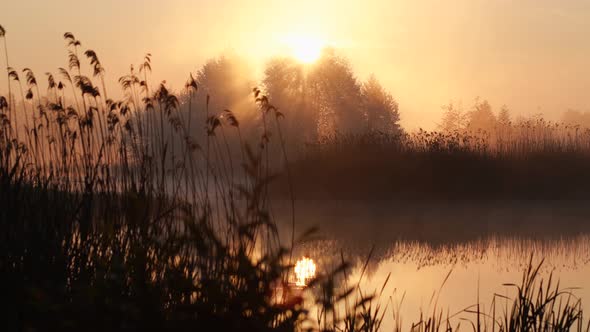 Amazing golden early morning sunrise rural landscape of beautiful nature