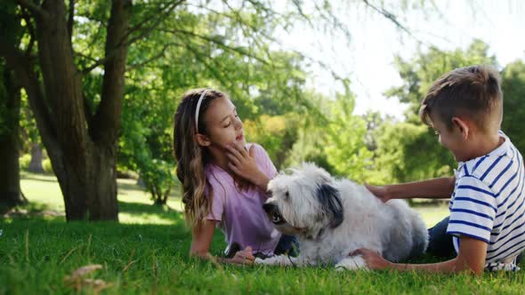 Siblings playing with their dog in the park