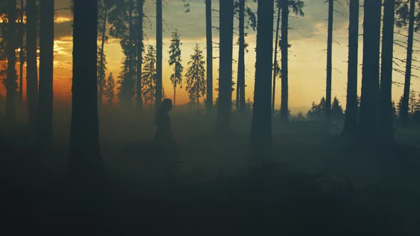 Girl running with a dog in a forest, at sunset