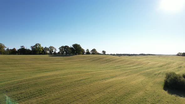 Beautiful green field