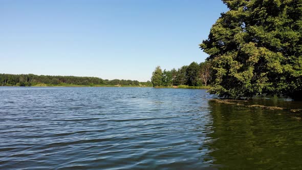 Lake and Forest in Summer