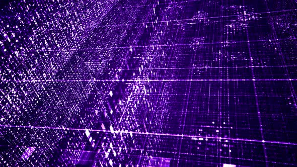 Digital Networks 10 4K