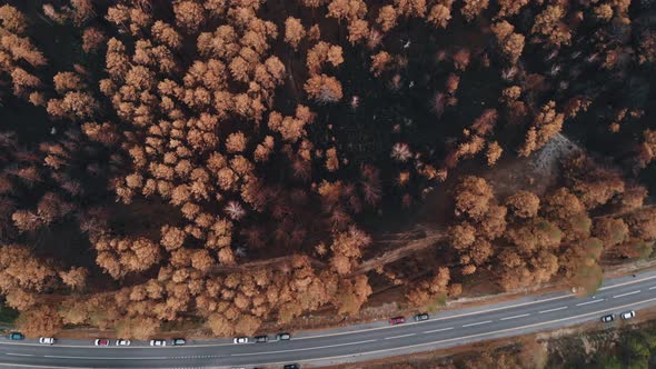 Epic Aerial View of Wild Fire