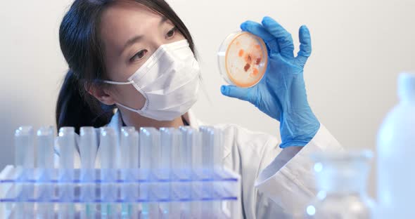 Female Scientist checking Petri dish