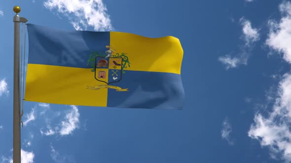 Tlaquepaque City Flag (Mexico) On Flagpole