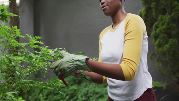 African american woman wearing gardening gloves cutting leaves of plants in the garden