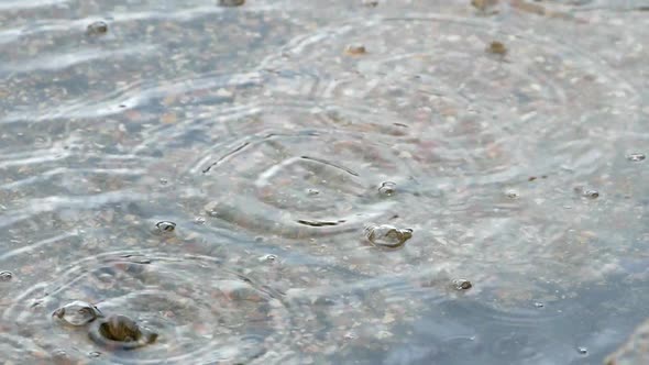 Drops Fall into the Water Forming Bubbles