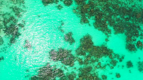 Aerial drone shot scenery of luxury tourist beach wildlife by transparent sea with clean sandy backg