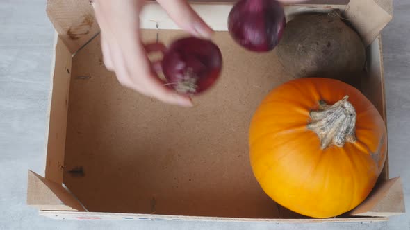 Woman Hand Put Fruits and Vegetables Into Box