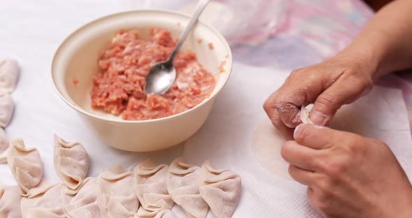 Making meat dumpling at home