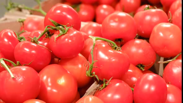 Red Ripe Tomatoes in the Vegetable Market Macro