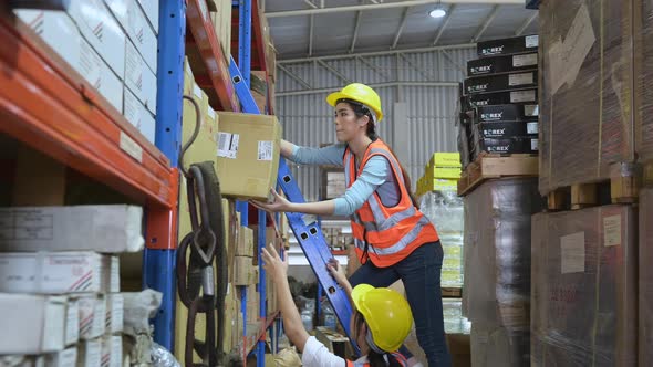 Two female warehouse workers Helping to lift things up and down from the storage shelves