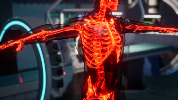 Human Skeleton Bones Scan Exam in Lab alt