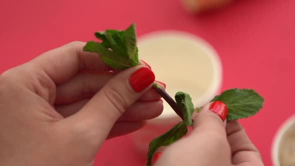 Close-up of plucking a mint leaf off the steam to use as a garnish on dessert.