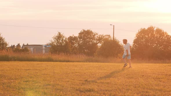 Little boy plays with a toy plane in a field at sunset. Childhood, freedom, inspiration concept.