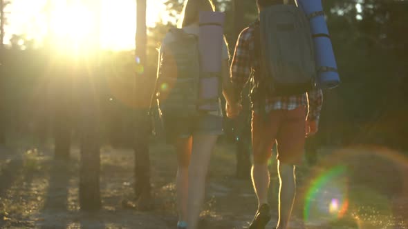 Girlfriend and Boyfriend Holding Hands and Going Together in Wood, Bright Future