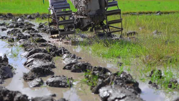 Farmers in South-Eastern Asia Plow a Rice Field Using a Hand Tractor. Travel To Asia Concept