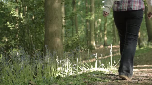 Woman walking in sunlit woodland