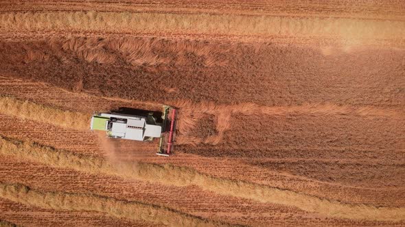 Harvester on wheat field