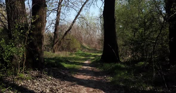 Hiking in the Early Spting Forest Drone Point of View