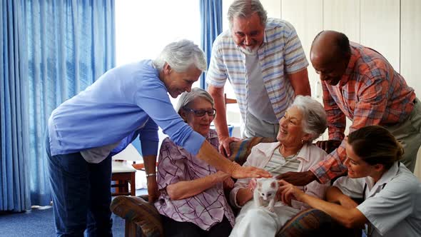 Senior friends and female doctor stroking kitten at retirement home 4k