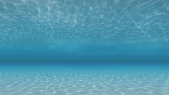 Underwater 4k