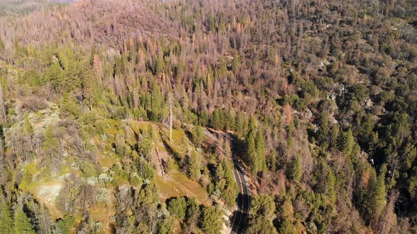 Beautiful 4k aerial shot of a highway winding through a California forest and mountains